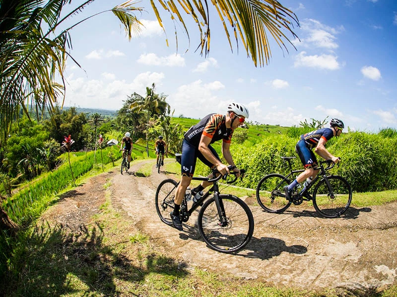 Team Building Canggu